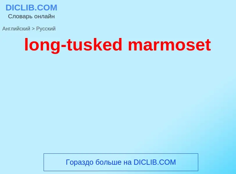 Как переводится long-tusked marmoset на Русский язык