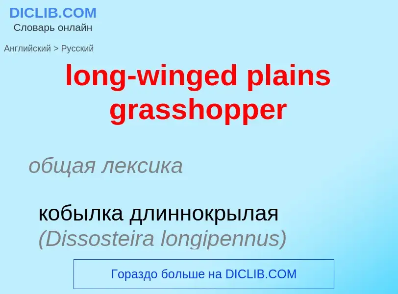 Как переводится long-winged plains grasshopper на Русский язык