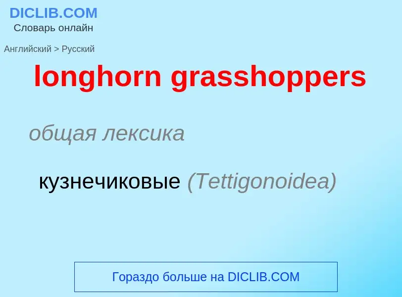 Как переводится longhorn grasshoppers на Русский язык