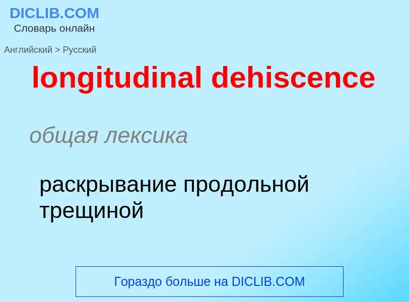 ¿Cómo se dice longitudinal dehiscence en Ruso? Traducción de &#39longitudinal dehiscence&#39 al Ruso