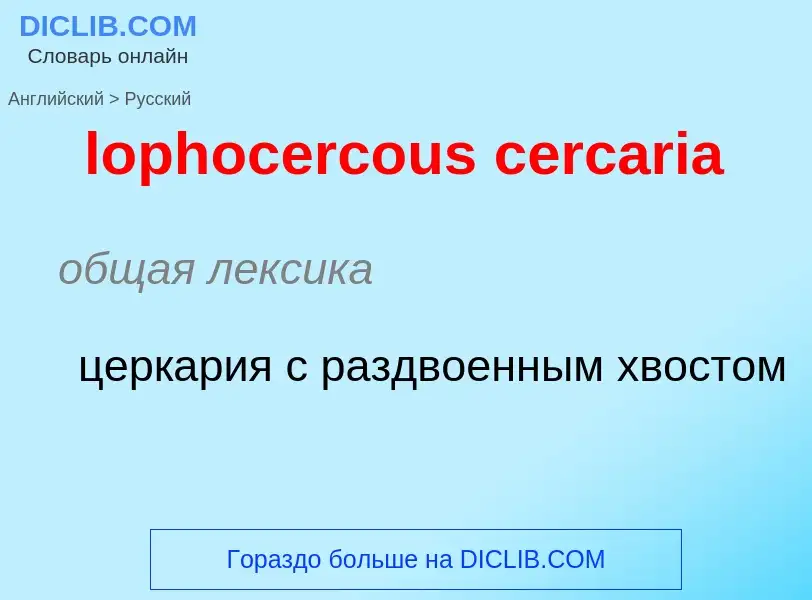 Μετάφραση του &#39lophocercous cercaria&#39 σε Ρωσικά