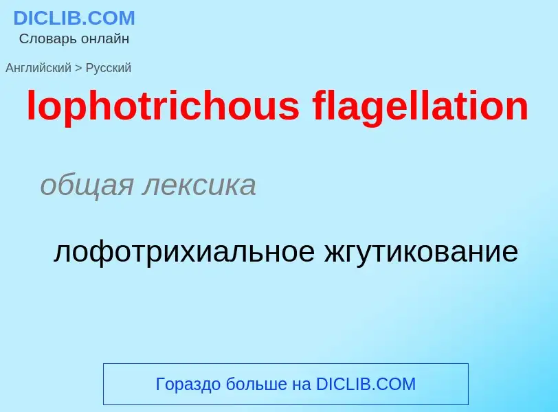 Как переводится lophotrichous flagellation на Русский язык