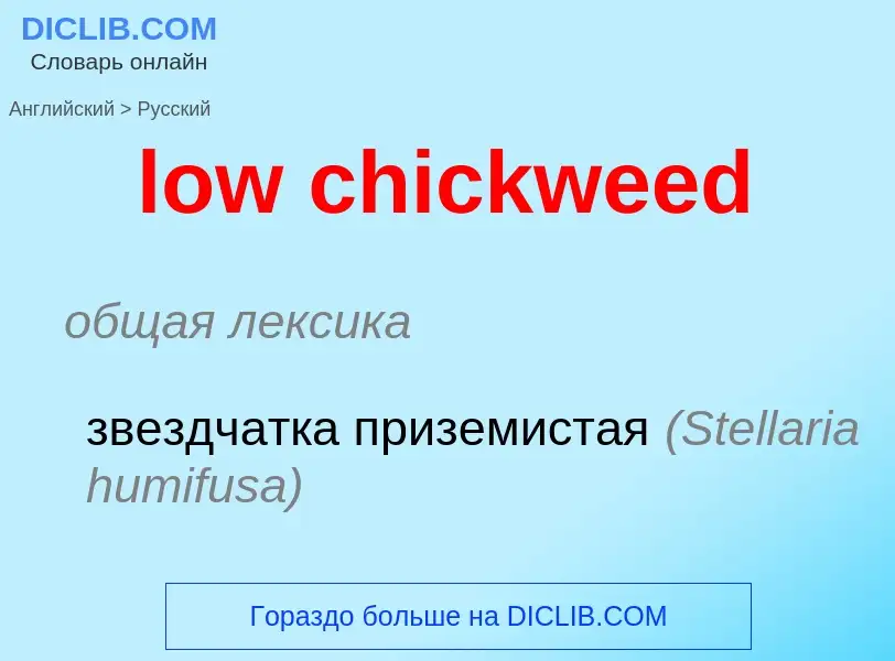 Vertaling van &#39low chickweed&#39 naar Russisch