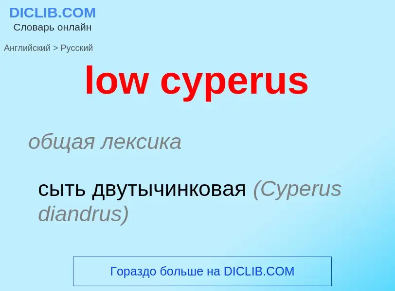 What is the Russian for low cyperus? Translation of &#39low cyperus&#39 to Russian