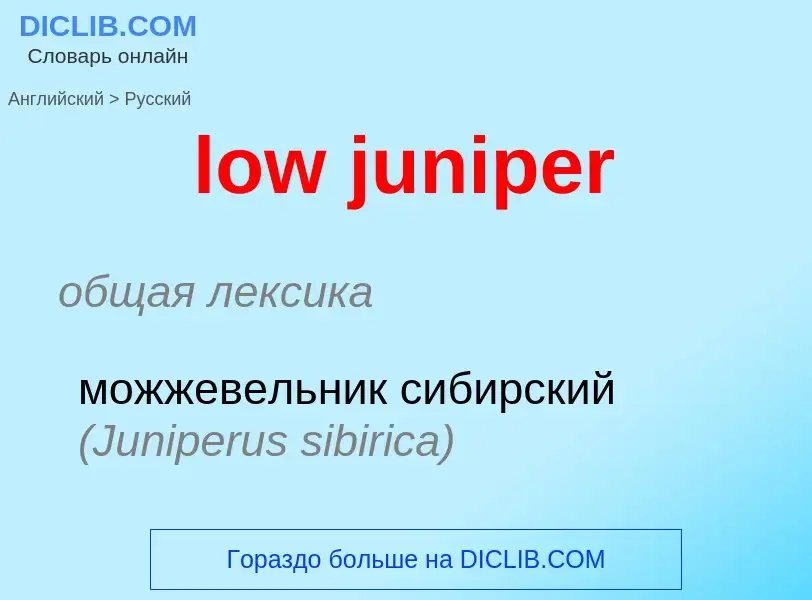 Как переводится low juniper на Русский язык