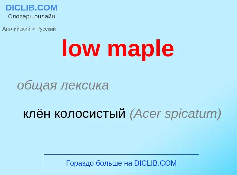 Vertaling van &#39low maple&#39 naar Russisch