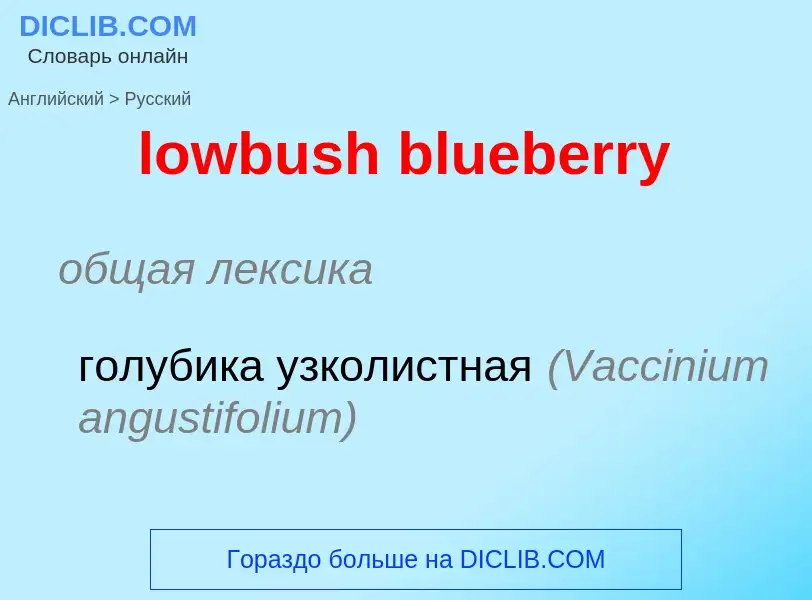 ¿Cómo se dice lowbush blueberry en Ruso? Traducción de &#39lowbush blueberry&#39 al Ruso