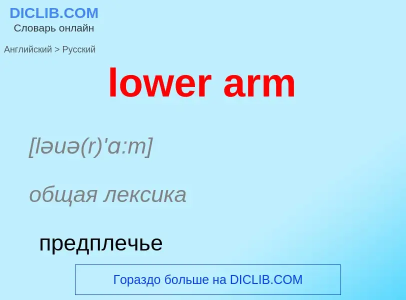 ¿Cómo se dice lower arm en Ruso? Traducción de &#39lower arm&#39 al Ruso