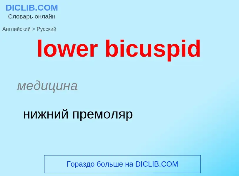 Μετάφραση του &#39lower bicuspid&#39 σε Ρωσικά