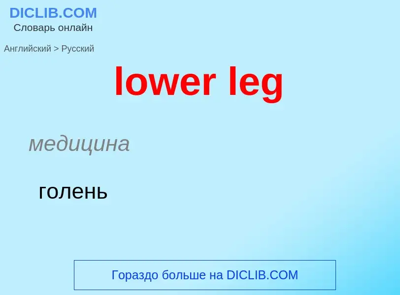 Μετάφραση του &#39lower leg&#39 σε Ρωσικά