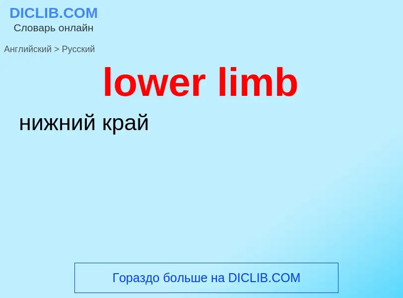 Μετάφραση του &#39lower limb&#39 σε Ρωσικά