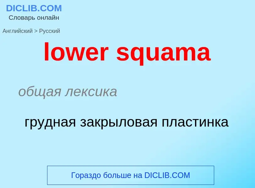 Μετάφραση του &#39lower squama&#39 σε Ρωσικά