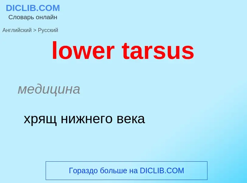 Μετάφραση του &#39lower tarsus&#39 σε Ρωσικά