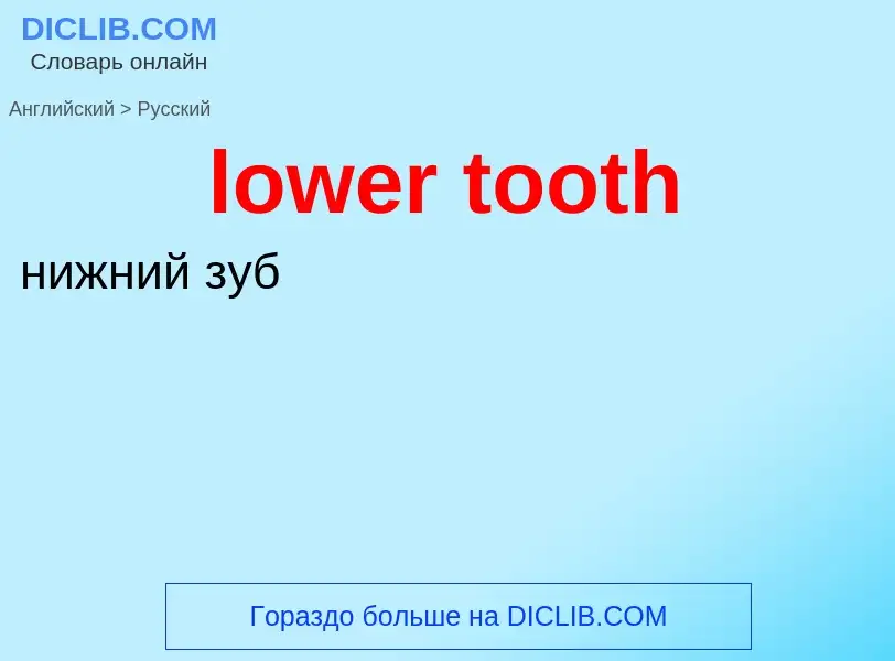 Μετάφραση του &#39lower tooth&#39 σε Ρωσικά