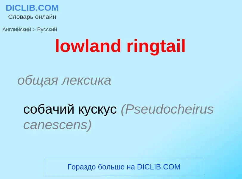 Μετάφραση του &#39lowland ringtail&#39 σε Ρωσικά