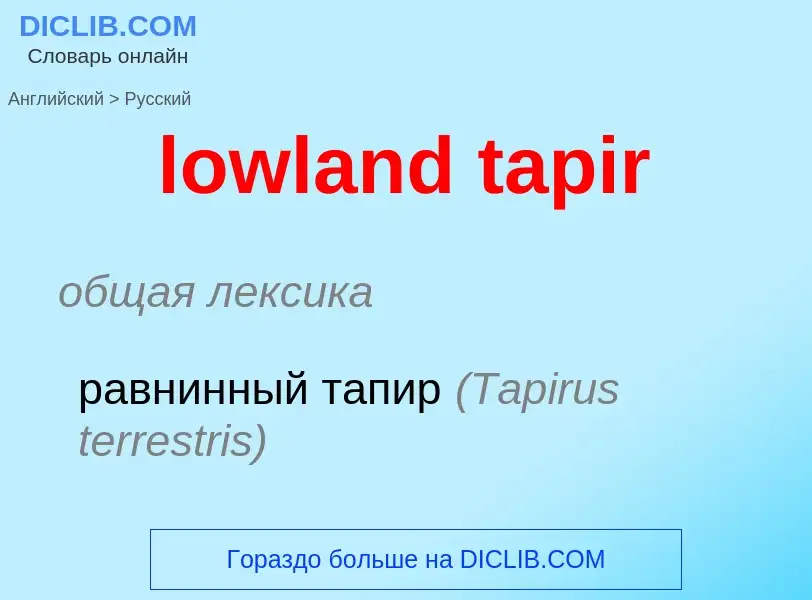 Μετάφραση του &#39lowland tapir&#39 σε Ρωσικά