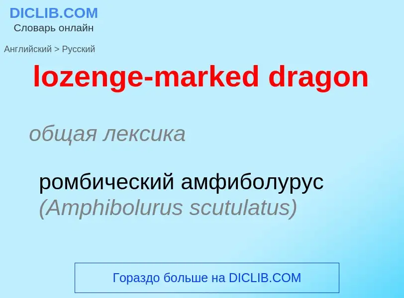 Μετάφραση του &#39lozenge-marked dragon&#39 σε Ρωσικά