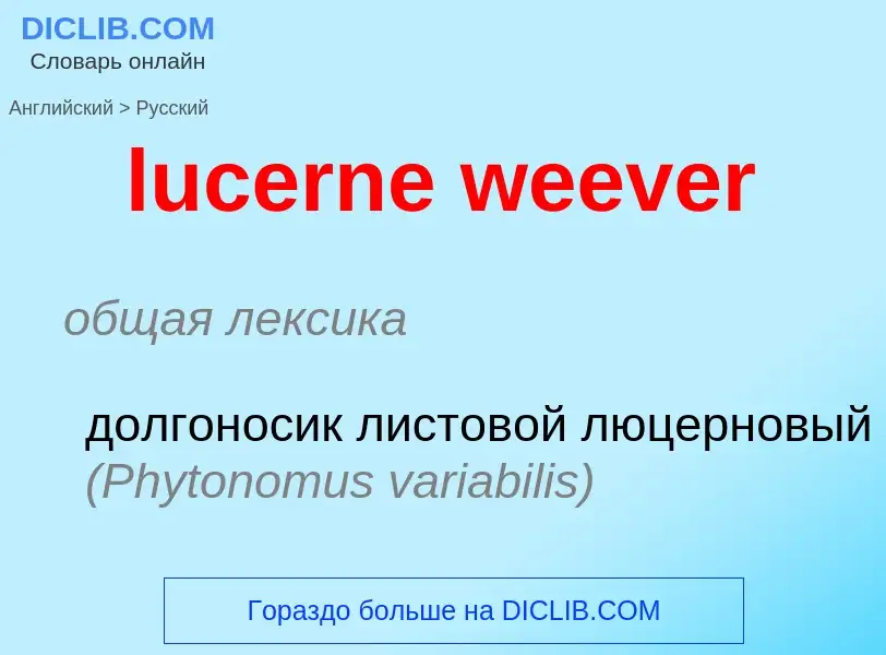 Μετάφραση του &#39lucerne weever&#39 σε Ρωσικά