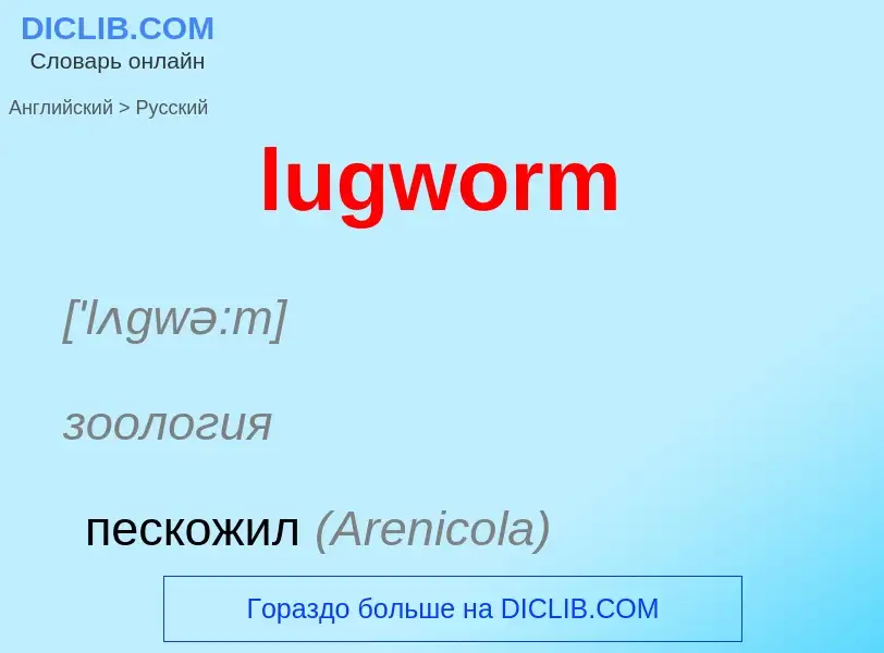 ¿Cómo se dice lugworm en Ruso? Traducción de &#39lugworm&#39 al Ruso