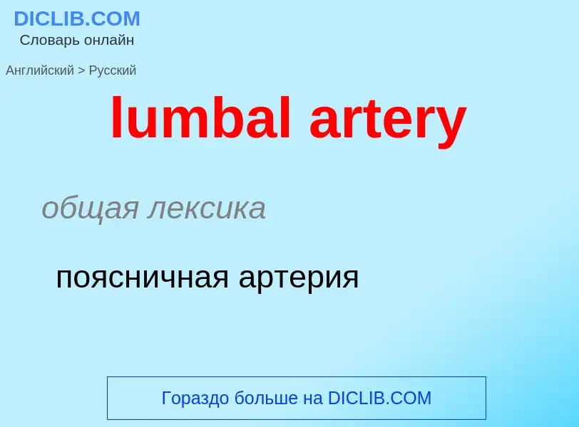 ¿Cómo se dice lumbal artery en Ruso? Traducción de &#39lumbal artery&#39 al Ruso