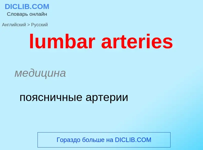 Μετάφραση του &#39lumbar arteries&#39 σε Ρωσικά