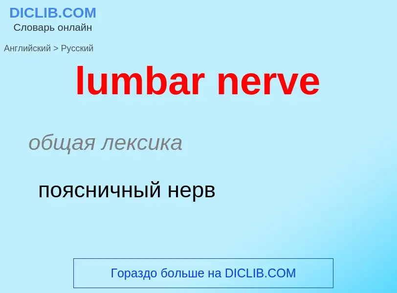 Μετάφραση του &#39lumbar nerve&#39 σε Ρωσικά