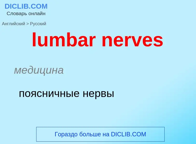 Μετάφραση του &#39lumbar nerves&#39 σε Ρωσικά