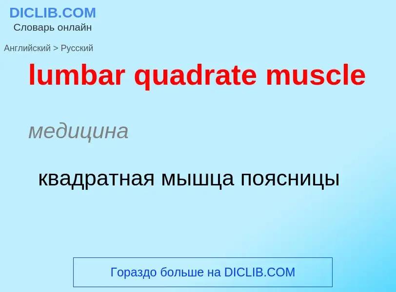 Μετάφραση του &#39lumbar quadrate muscle&#39 σε Ρωσικά