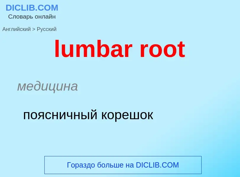 Μετάφραση του &#39lumbar root&#39 σε Ρωσικά