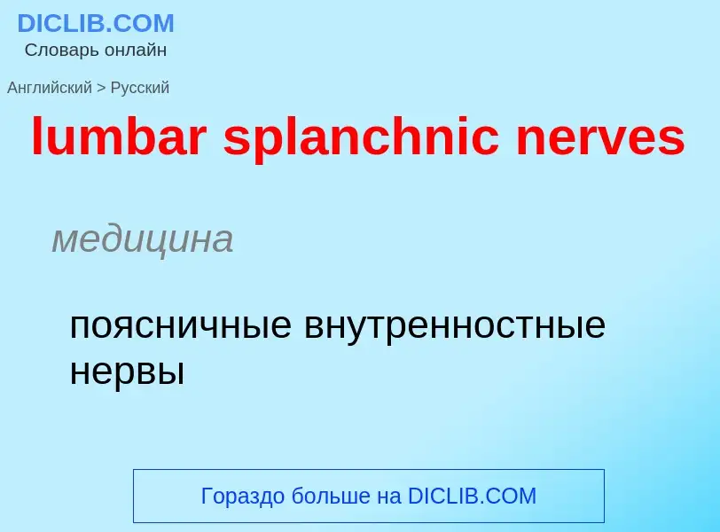 Μετάφραση του &#39lumbar splanchnic nerves&#39 σε Ρωσικά