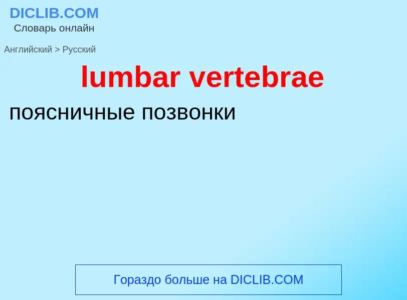 Μετάφραση του &#39lumbar vertebrae&#39 σε Ρωσικά