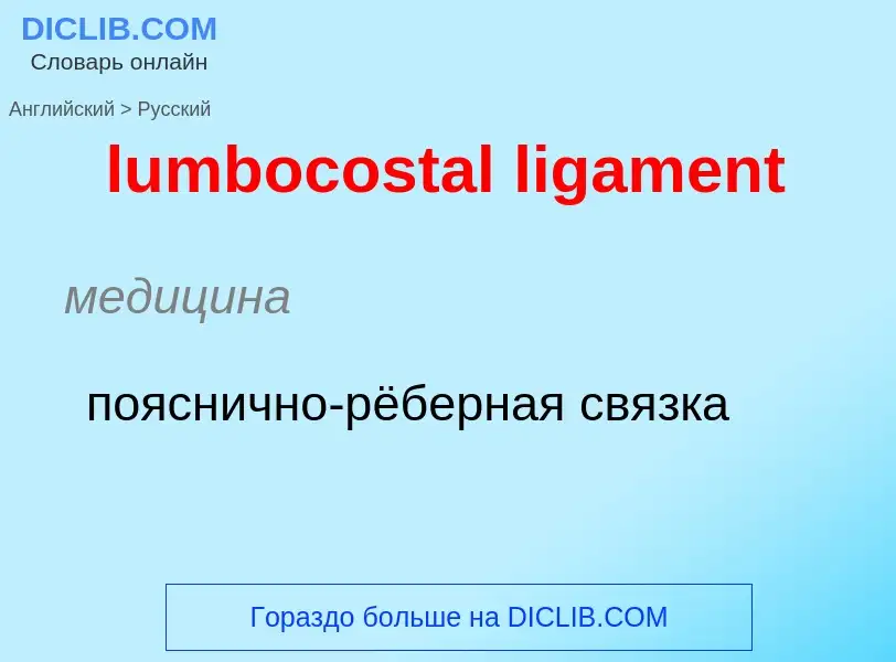 ¿Cómo se dice lumbocostal ligament en Ruso? Traducción de &#39lumbocostal ligament&#39 al Ruso