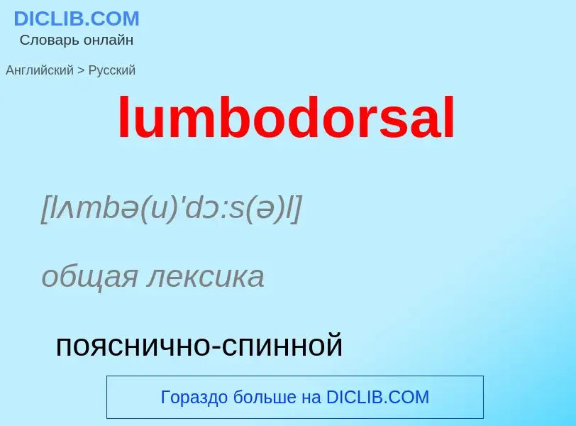 ¿Cómo se dice lumbodorsal en Ruso? Traducción de &#39lumbodorsal&#39 al Ruso