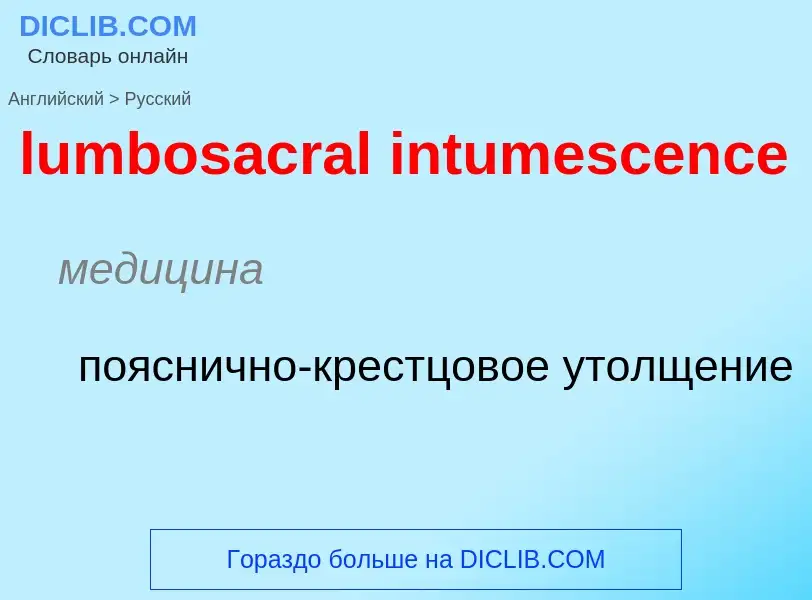 Μετάφραση του &#39lumbosacral intumescence&#39 σε Ρωσικά