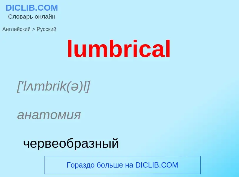 ¿Cómo se dice lumbrical en Ruso? Traducción de &#39lumbrical&#39 al Ruso