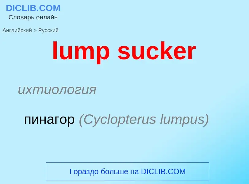 Μετάφραση του &#39lump sucker&#39 σε Ρωσικά