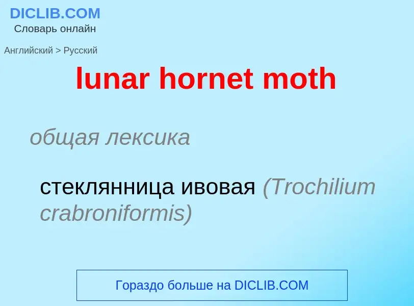 Μετάφραση του &#39lunar hornet moth&#39 σε Ρωσικά