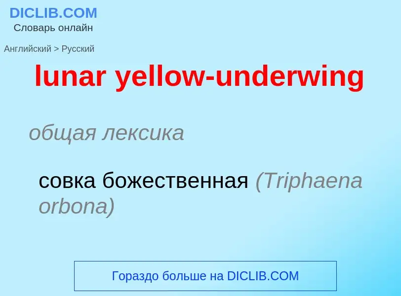 Μετάφραση του &#39lunar yellow-underwing&#39 σε Ρωσικά