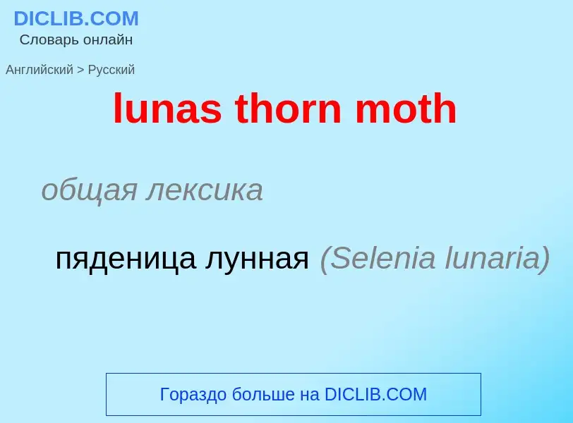 Μετάφραση του &#39lunas thorn moth&#39 σε Ρωσικά