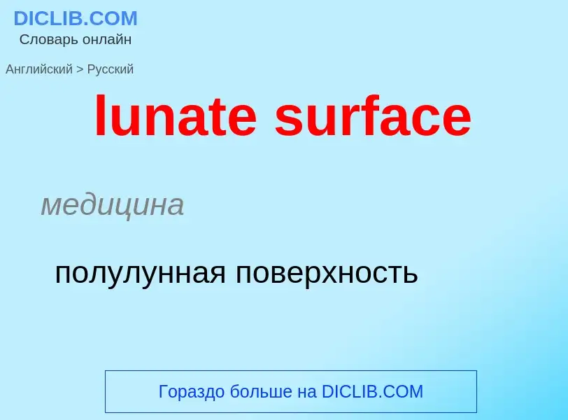 Μετάφραση του &#39lunate surface&#39 σε Ρωσικά