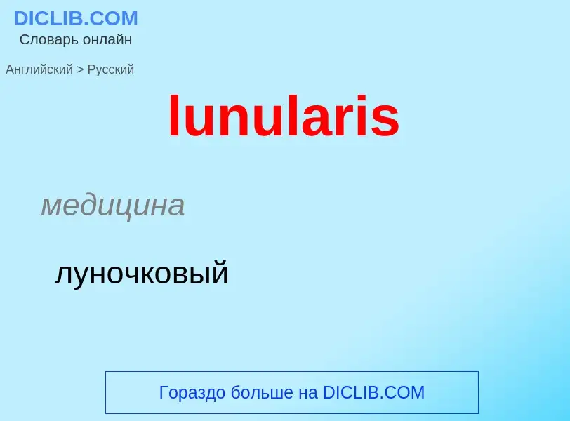 Μετάφραση του &#39lunularis&#39 σε Ρωσικά