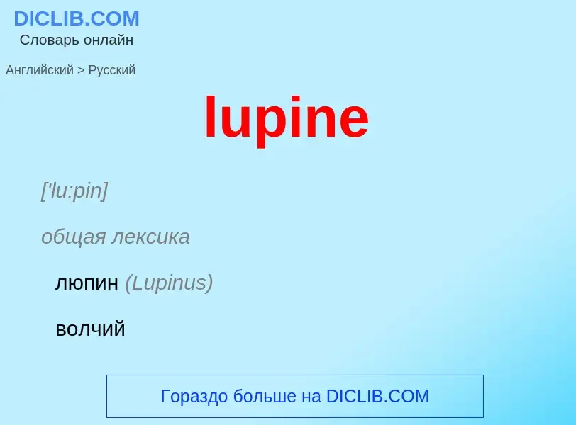 Μετάφραση του &#39lupine&#39 σε Ρωσικά