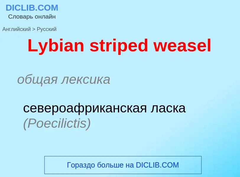 ¿Cómo se dice Lybian striped weasel en Ruso? Traducción de &#39Lybian striped weasel&#39 al Ruso