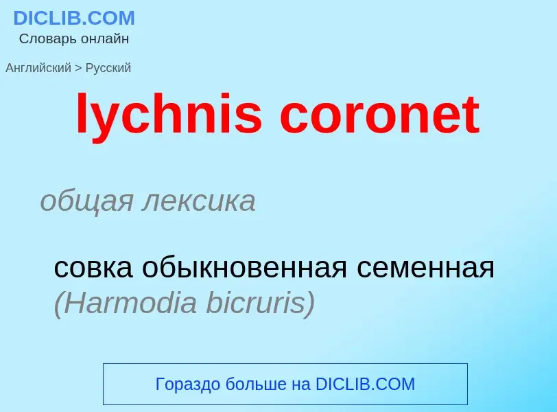 Μετάφραση του &#39lychnis coronet&#39 σε Ρωσικά