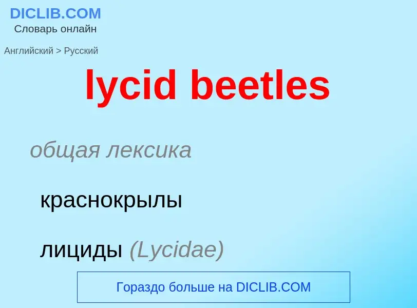 Μετάφραση του &#39lycid beetles&#39 σε Ρωσικά