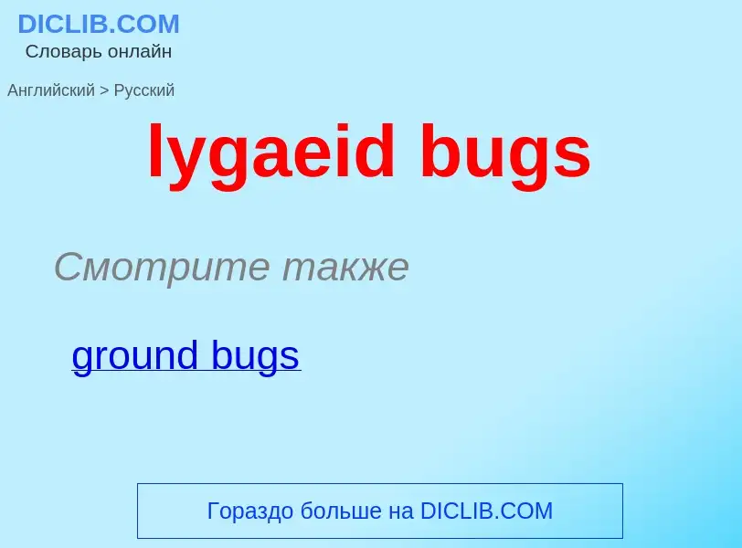 Μετάφραση του &#39lygaeid bugs&#39 σε Ρωσικά