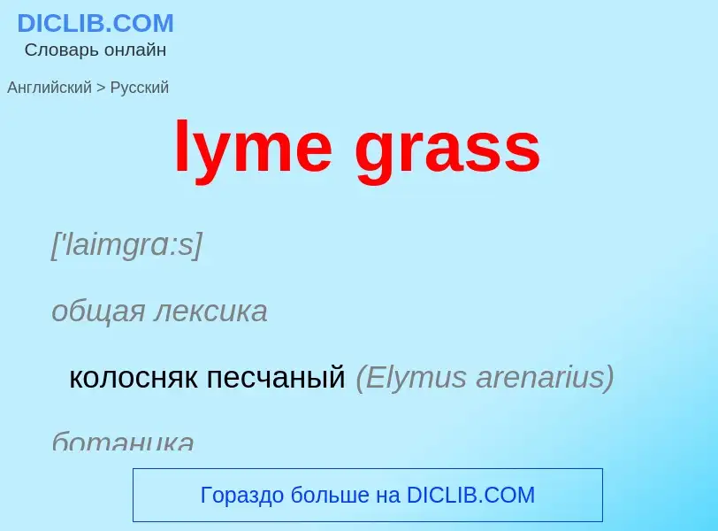 Как переводится lyme grass на Русский язык