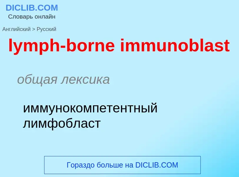 Как переводится lymph-borne immunoblast на Русский язык