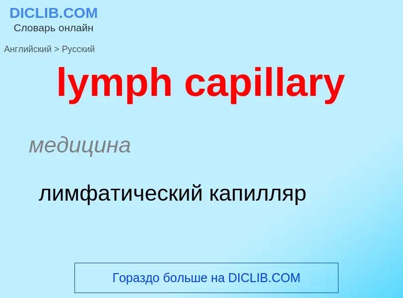 Как переводится lymph capillary на Русский язык