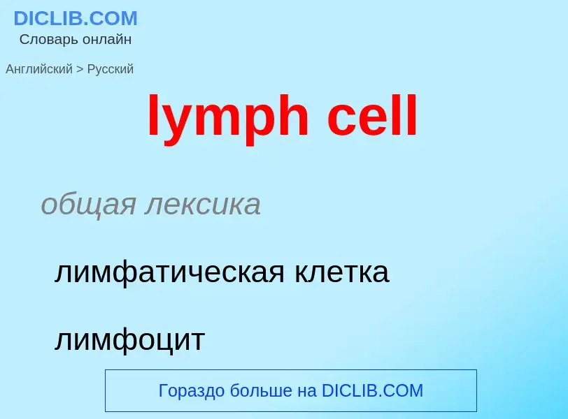 Как переводится lymph cell на Русский язык